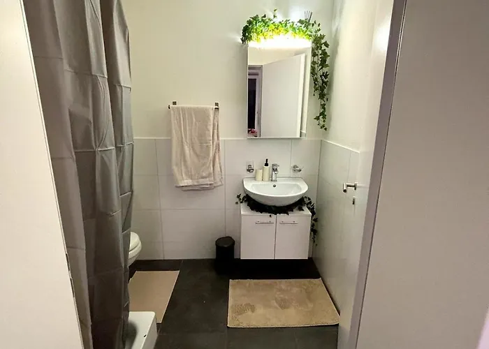 Apartman In Center Of *